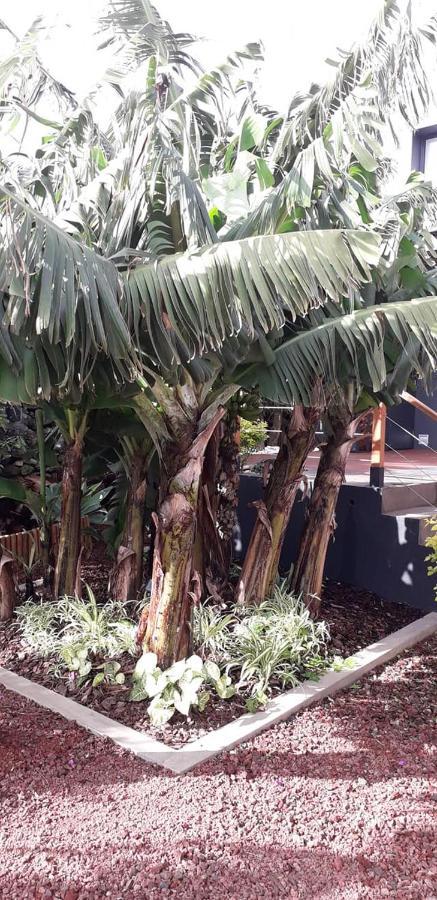 2Azores With Comfort And Style Ponta Delgada Exterior foto